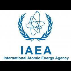 IAEA LSNAA